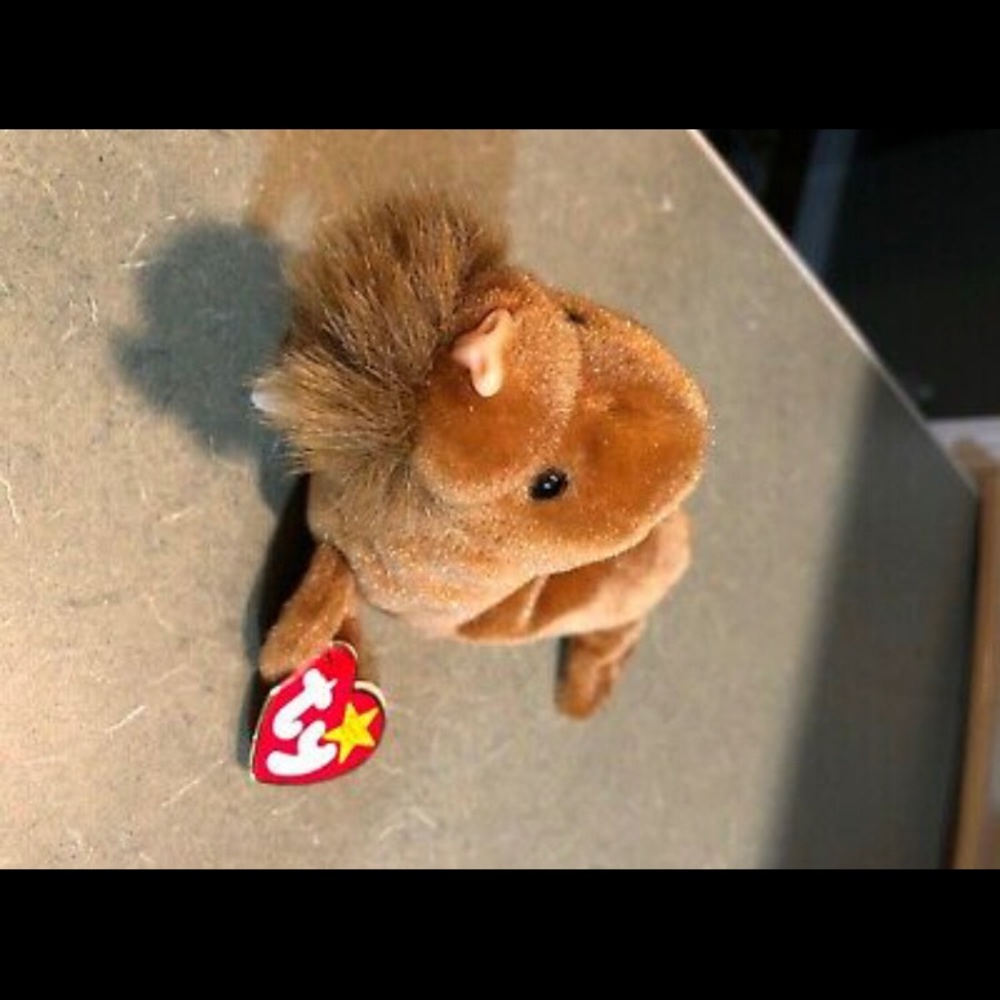 Original RARE TY beanie baby Paul the walrus